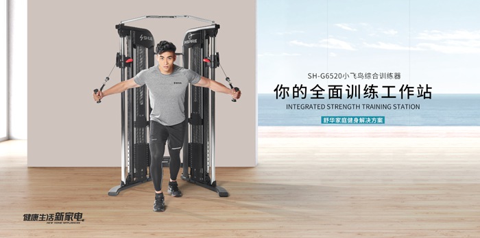 KY.COM-开云(中国)健身器材-小飞鸟综合训练器SH-G6520 KY.COM-开云(中国)健身器材-小飞鸟综合训练器SH-G6520